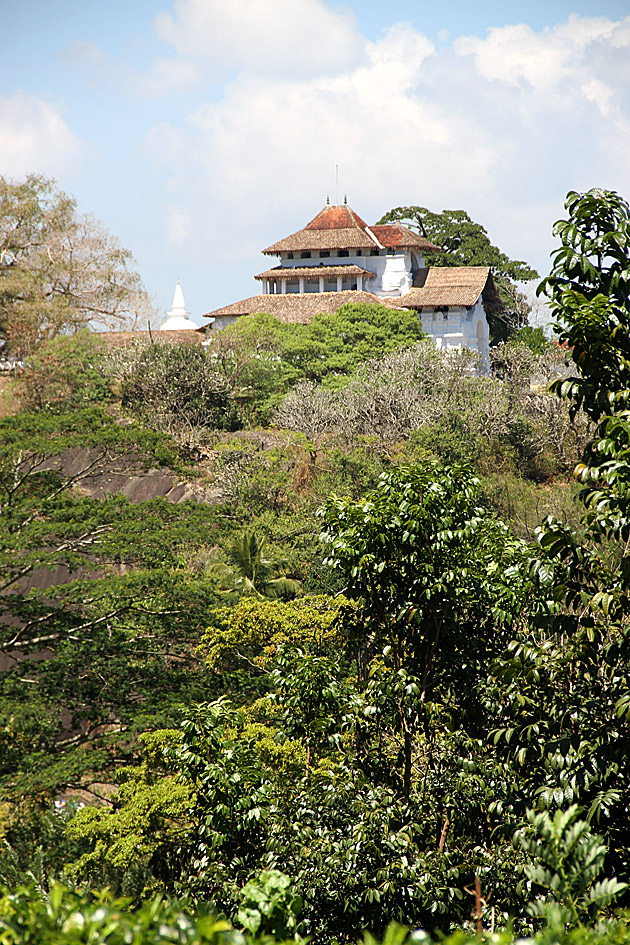 Hill Side Temple Kandy Sri Lanka hike