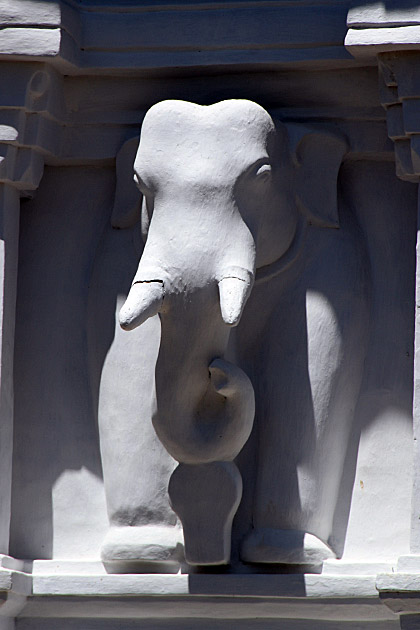 Lankatikale elephant