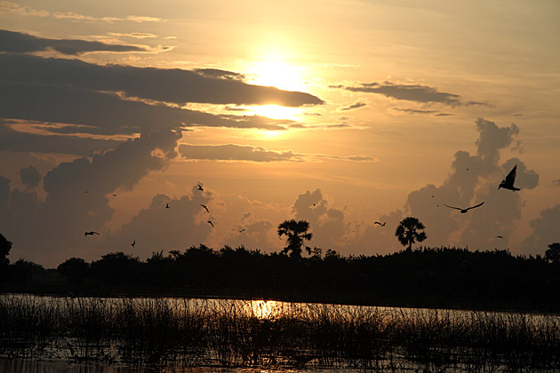 Read more about the article A Boat Tour of Pottuvil Lagoon