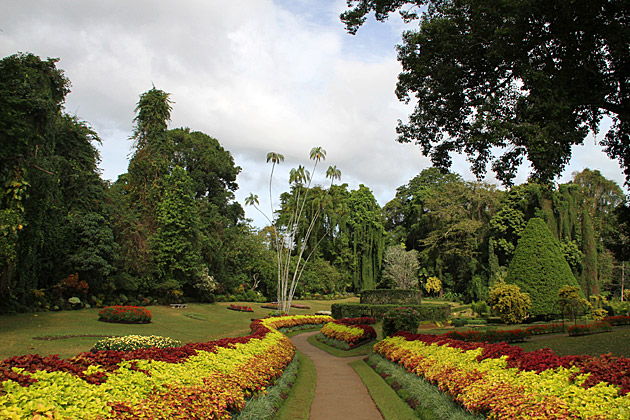 Read more about the article The Royal Botanical Gardens of Peradeniya