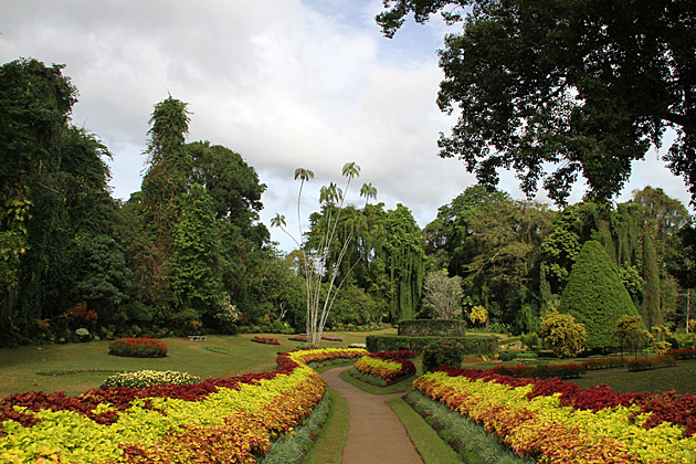 peradeniya botanical garden