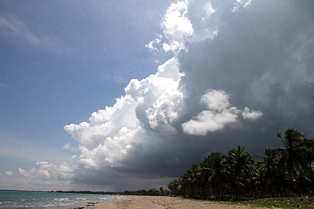 Read more about the article Casuarina Beach on Karaitivu Island