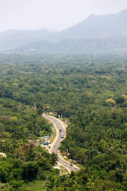 Read more about the article A Death-Defying Journey to Habarana