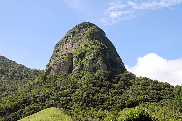 Read more about the article Leech Attack at the Knuckles Mountain Range